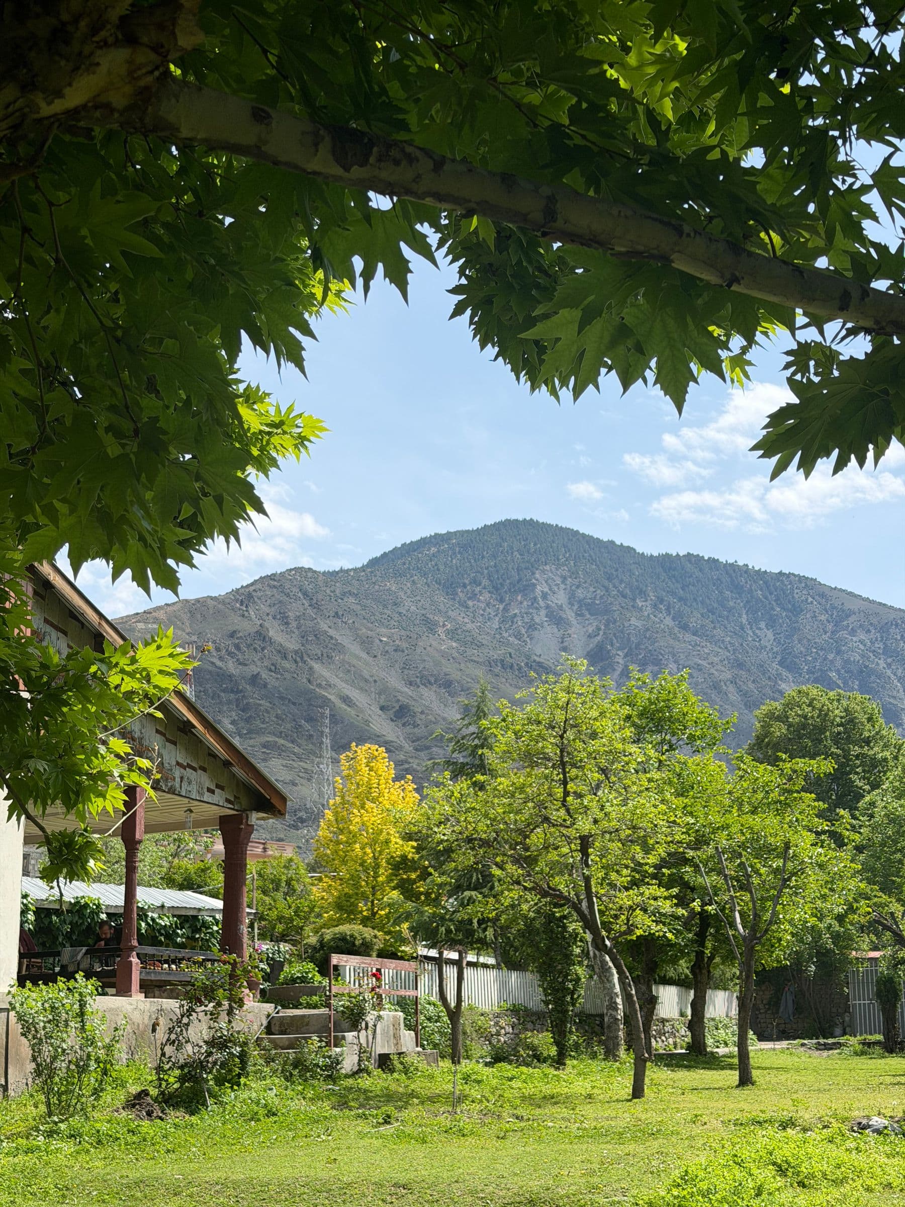 Lush trees and mountains in the Kalash Valley