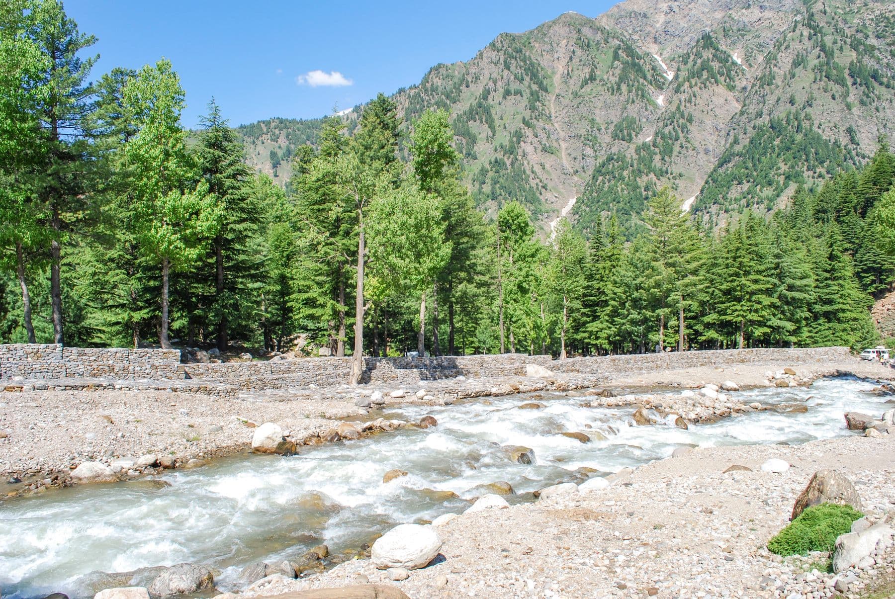 River, pine forest and mountains in Naran Valley