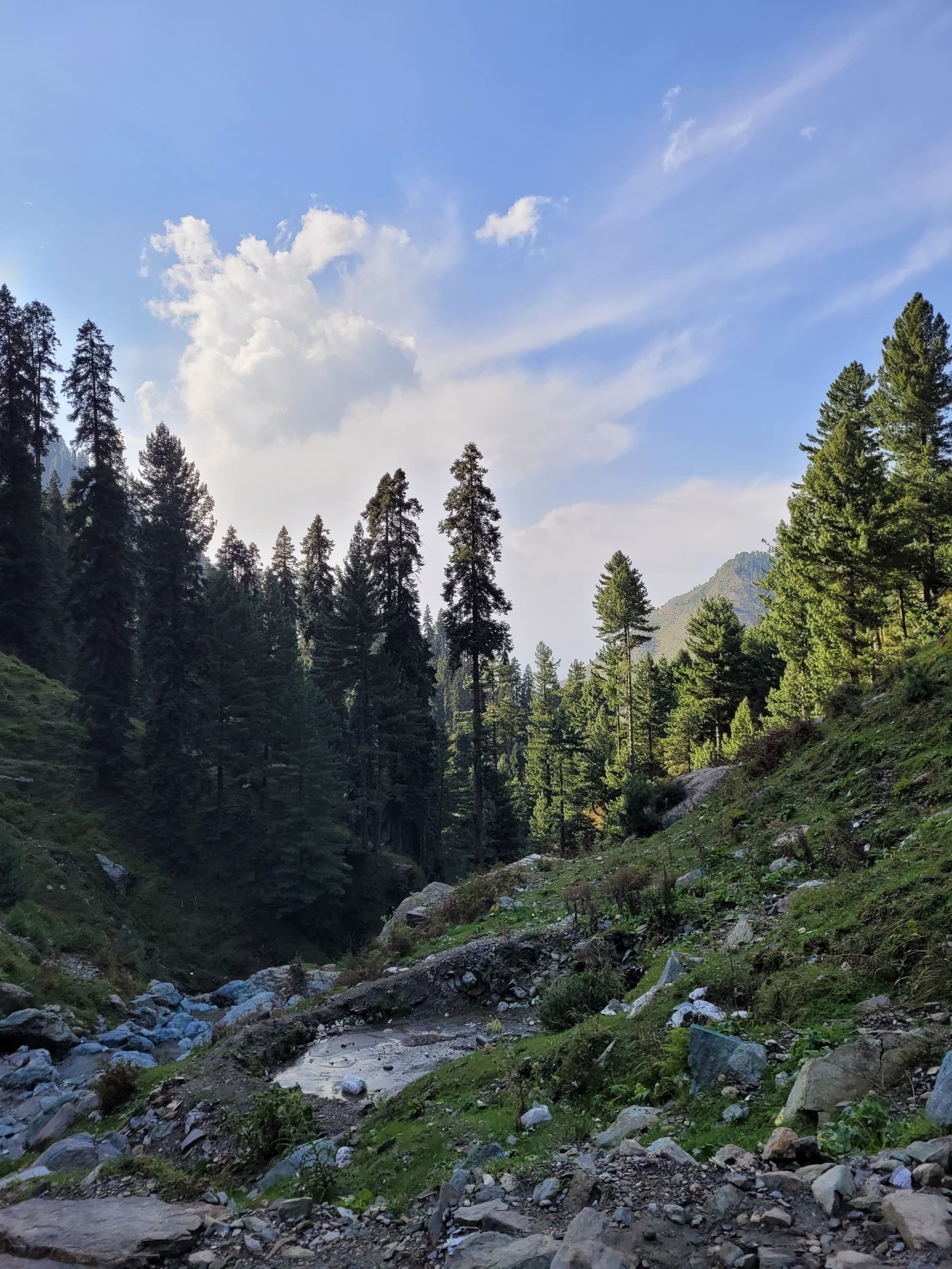Forested hills and rock formations in Swat Valley